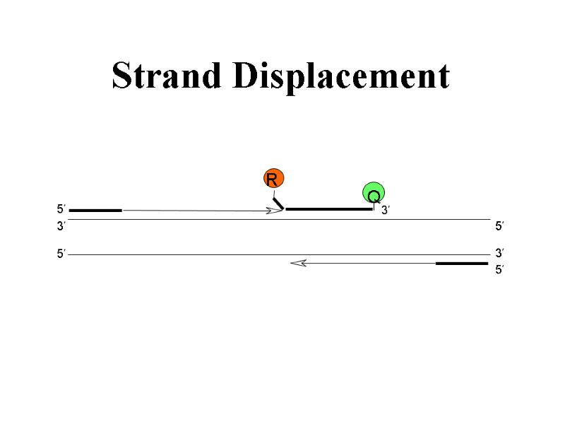 Strand Displacement